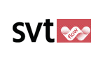 Bester Smart DNS Dienst um STV Flow außerhalb von Sweden
 zu sehen